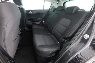 KIA Sportage usata 3