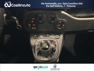 FIAT Panda Cross usata, con Servosterzo