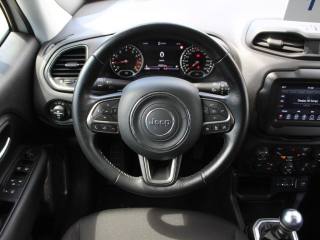 JEEP Renegade usata, con Volante multifunzione