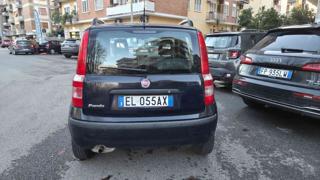 FIAT Panda usata, con Alzacristalli elettrici