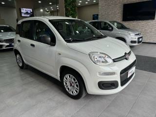 FIAT Panda usata, con Airbag Passeggero
