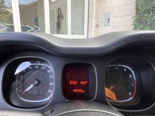 FIAT Panda usata 13