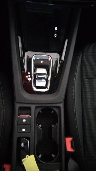 SKODA Octavia usata, con Specchietti laterali elettrici
