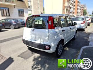 FIAT Panda usata 13