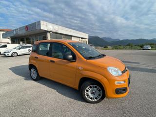 FIAT Panda usata, con ABS