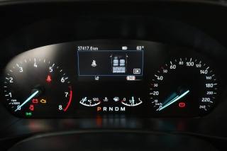 FORD Focus usata 6