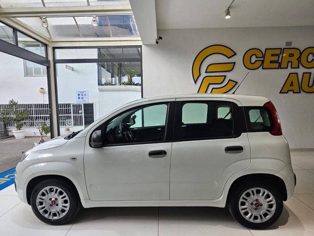 FIAT Panda usata, con Airbag Passeggero