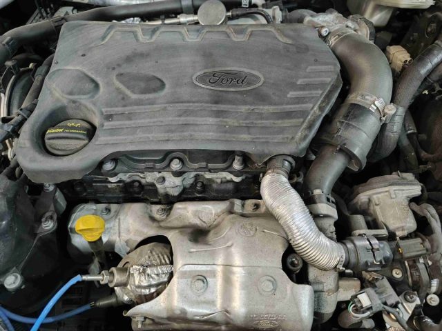 FORD EcoSport usata, con Airbag testa