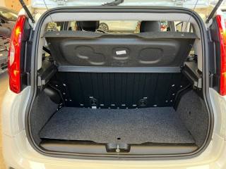 FIAT Panda usata, con Controllo trazione