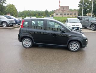 FIAT Panda usata, con Alzacristalli elettrici