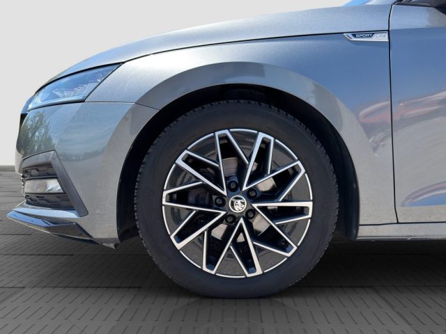 SKODA Octavia usata 15