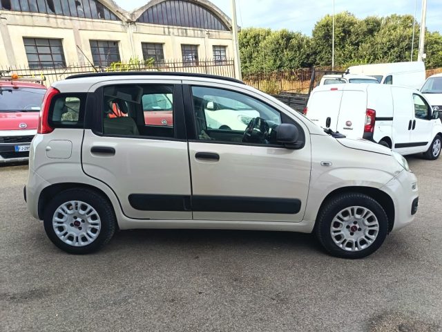 FIAT Panda usata 4