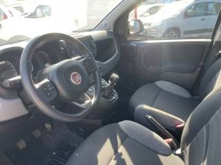 FIAT Panda usata 9