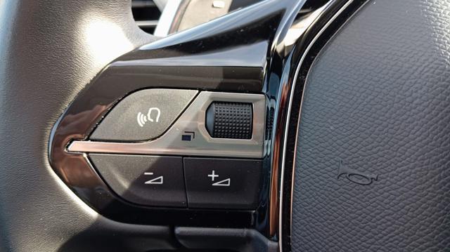 PEUGEOT 3008 usata, con Vivavoce
