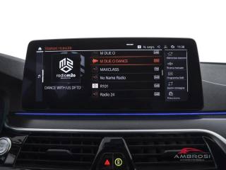 BMW 530 usata 13