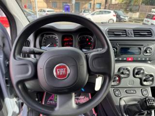 FIAT Panda usata, con Controllo trazione