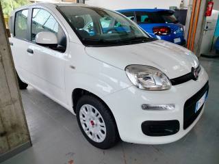 FIAT Panda usata, con Servosterzo