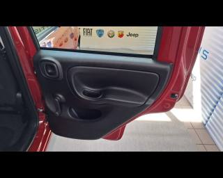 FIAT New Panda usata 17