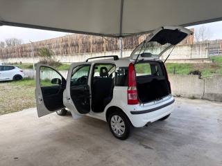 FIAT Panda usata 50