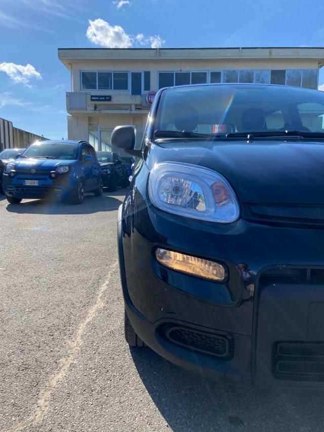 FIAT Panda usata 15