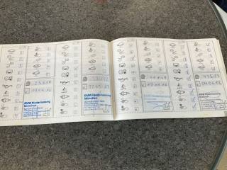 BMW Z4 usata, con Specchietti laterali elettrici