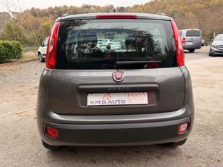 FIAT Panda usata, con Chiusura centralizzata telecomandata
