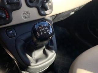 FIAT Panda usata, con Fendinebbia
