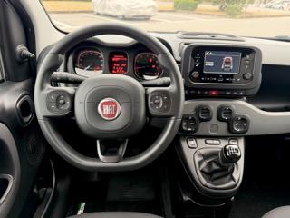 FIAT Panda usata, con ESP