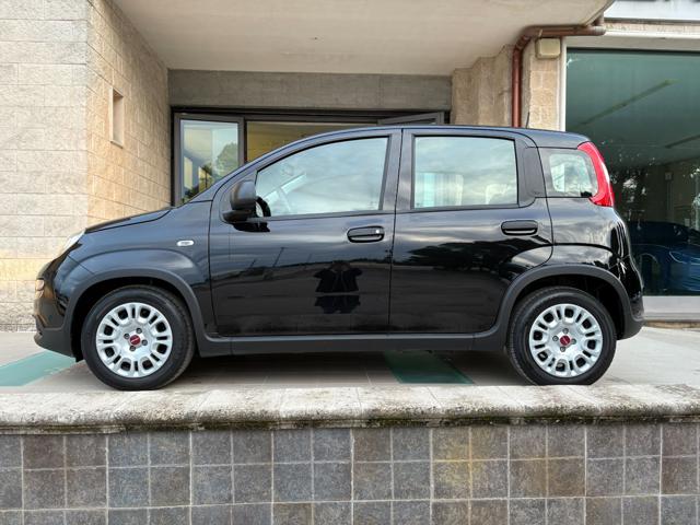 FIAT Panda usata, con Climatizzatore