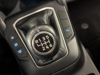 FORD Focus usata, con Cruise Control