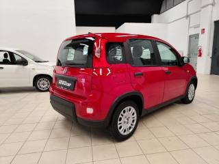 FIAT Panda usata, con Climatizzatore