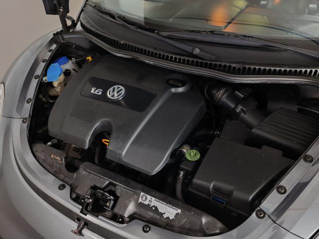 VOLKSWAGEN New Beetle usata, con Bracciolo