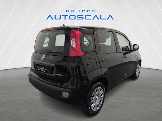 FIAT Pandina usata, con Antifurto