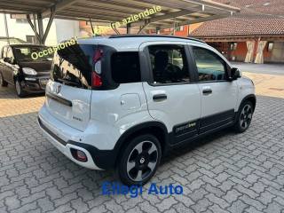 FIAT Pandina usata, con Climatizzatore