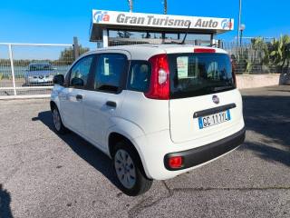 FIAT Panda usata 3
