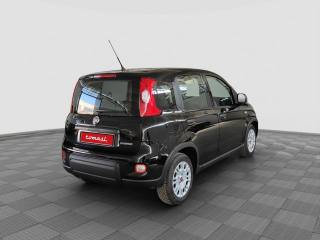 FIAT Panda usata 4