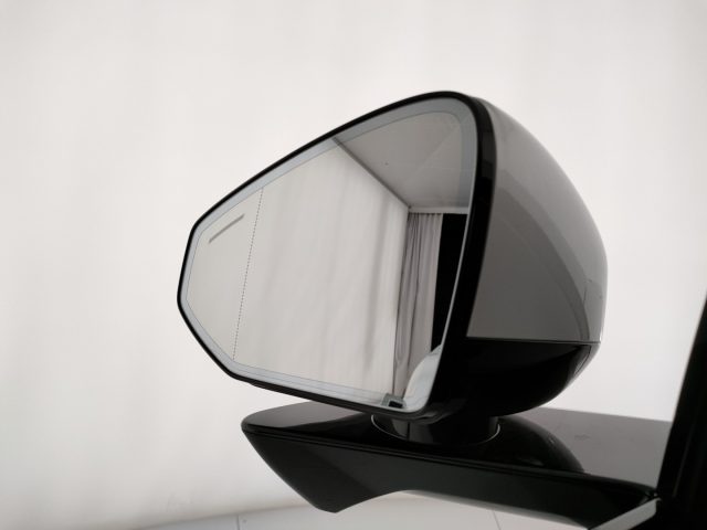 POLESTAR Polestar 4 usata, con Chiamata automatica per emergenze
