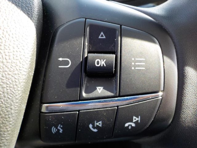 FORD Fiesta usata, con Bracciolo