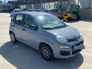 FIAT Panda usata, con Airbag Passeggero