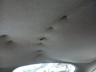 VOLKSWAGEN New Beetle usata 17