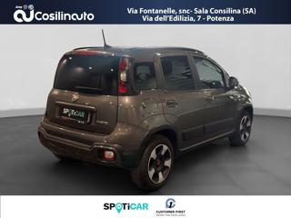 FIAT Panda Cross usata, con Alzacristalli elettrici