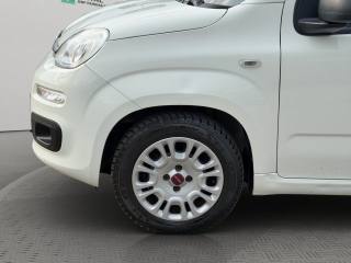 FIAT Panda usata 18