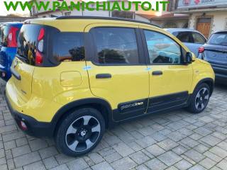 FIAT Panda usata, con Airbag Passeggero