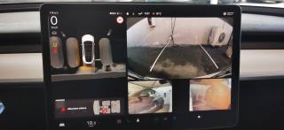 TESLA Model Y usata 66