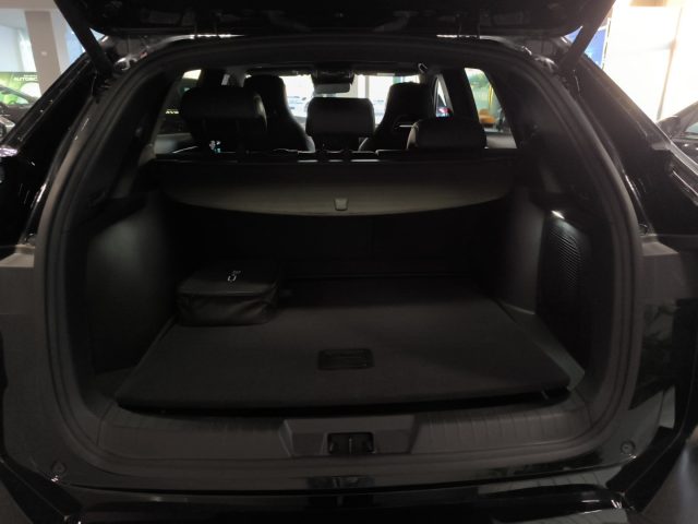 BYD Seal usata, con Bracciolo