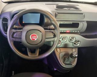 FIAT Pandina usata 11