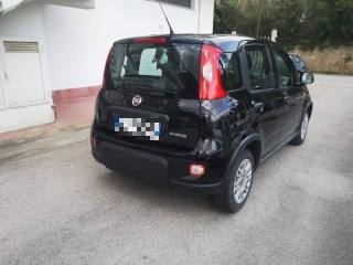 FIAT Panda usata, con Autoradio
