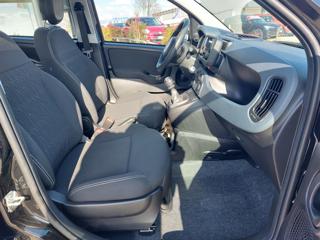 FIAT Panda usata, con Airbag testa