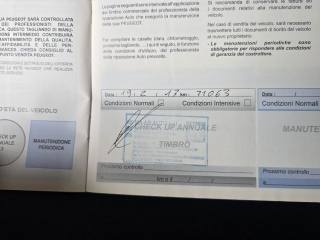 PEUGEOT 206 usata 75