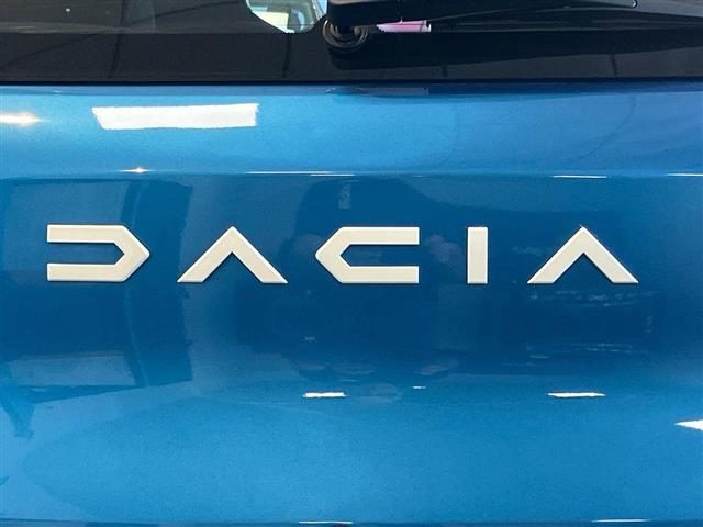 DACIA Spring usata 20